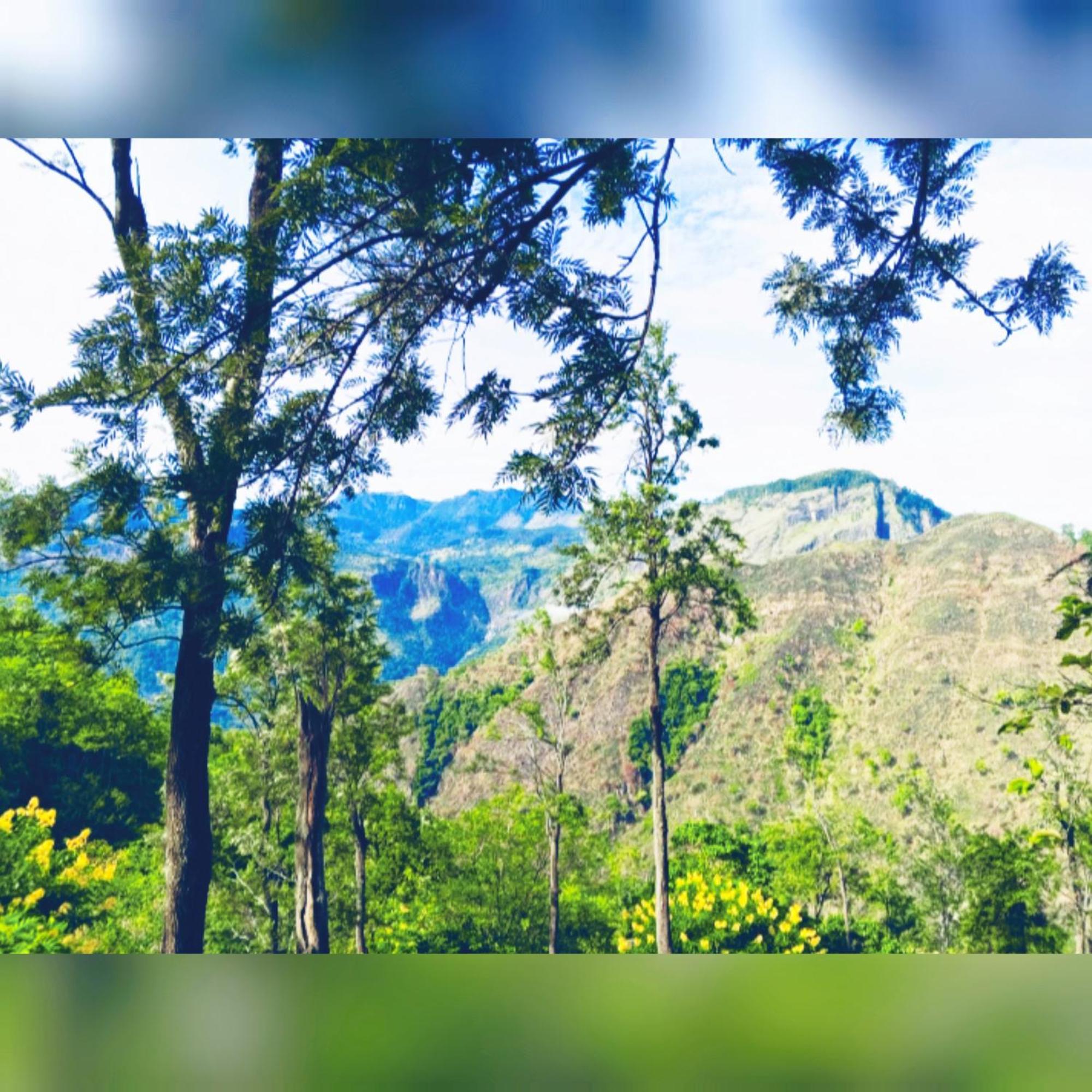 H3 Hilltop Heaven Ella Ngoại thất bức ảnh