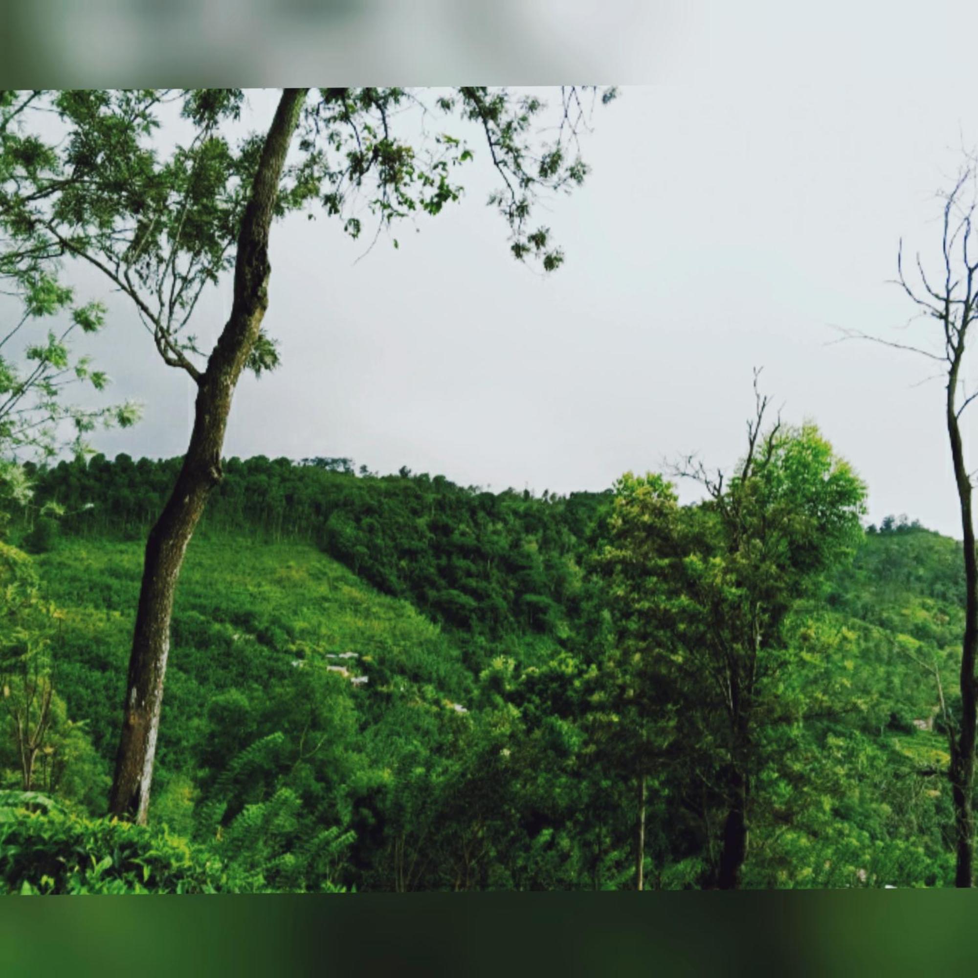 H3 Hilltop Heaven Ella Ngoại thất bức ảnh