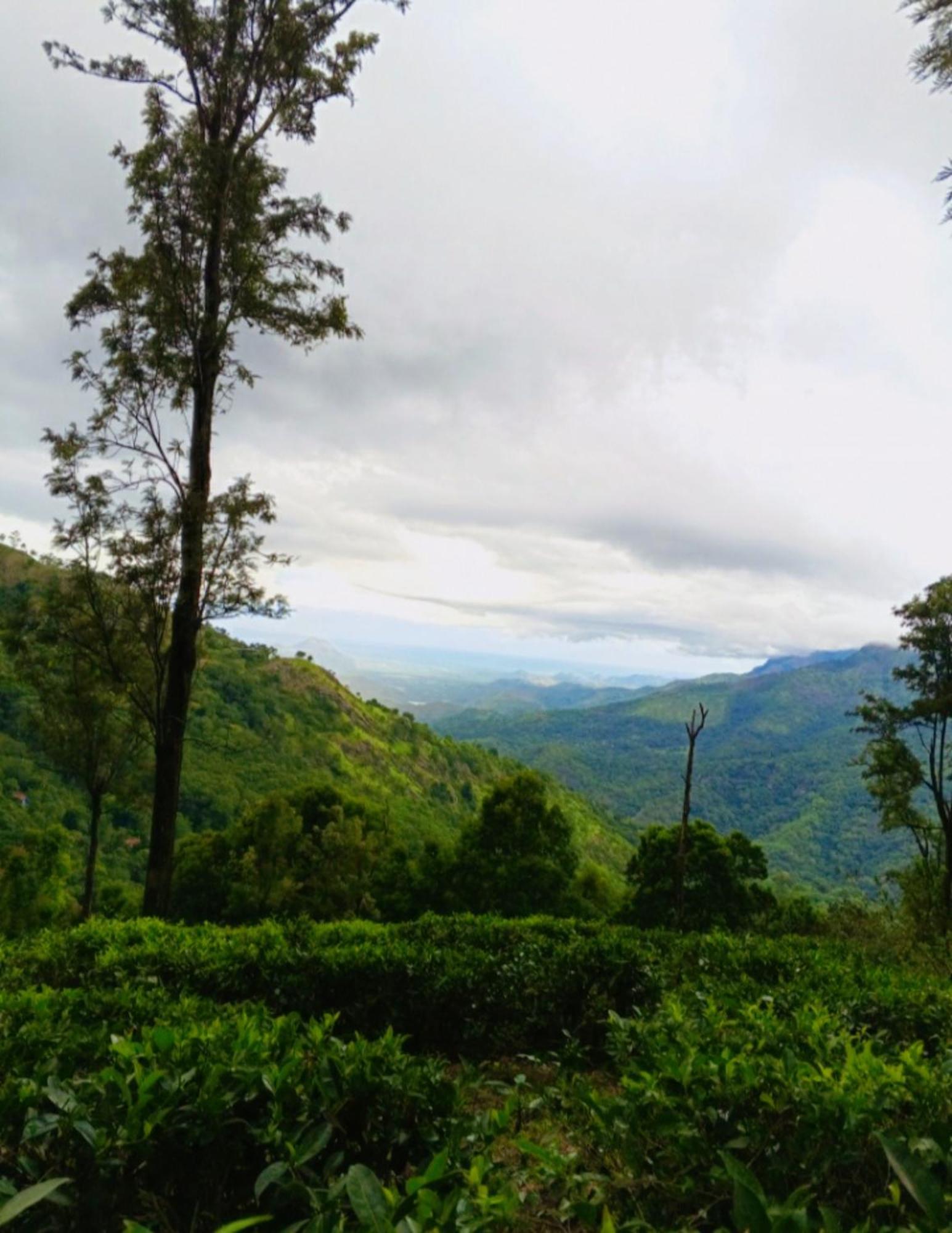 H3 Hilltop Heaven Ella Ngoại thất bức ảnh