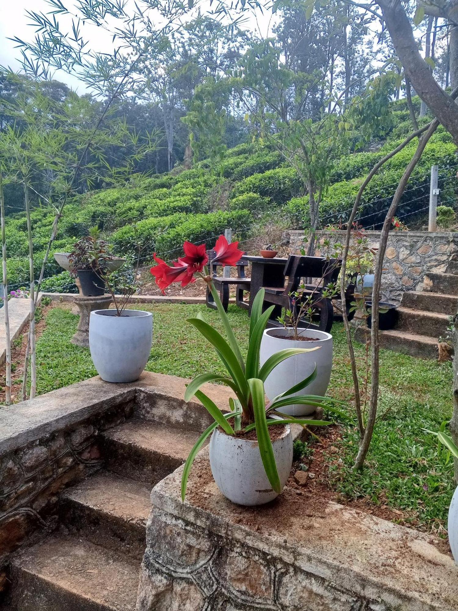 H3 Hilltop Heaven Ella Ngoại thất bức ảnh